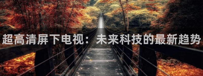 优贝娱乐是什么：超高清屏下电视：未来科技的最新趋势