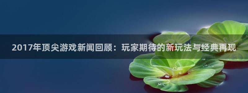 优贝娱乐的意思：2017年顶尖游戏新闻回顾：玩家期待的新玩法