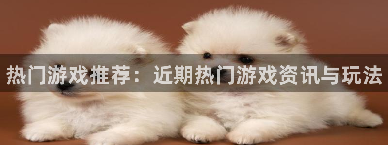 优贝娱乐官网登录：热门游戏推荐：近期热门游戏资讯与玩法