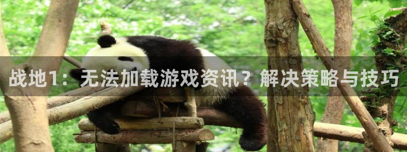 优贝娱乐4招商：战地1：无法加载游戏资讯？解决策略与技巧