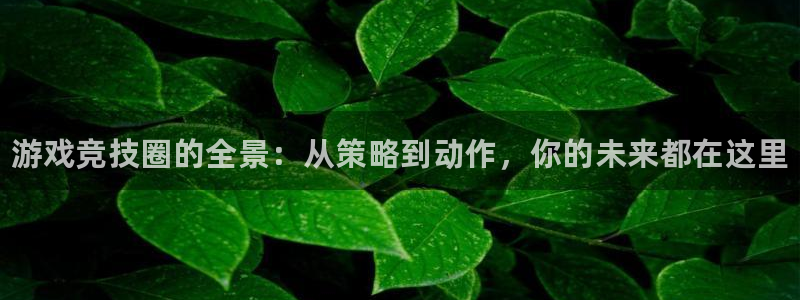 优贝娱乐网页版地址：游戏竞技圈的全景：从策略到动作，你的未来