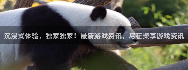优贝娱乐2首页登录：沉浸式体验，独家独家！最新游戏资讯，尽在