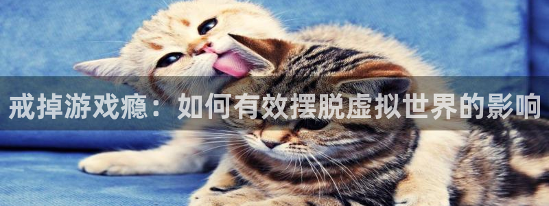 优贝娱乐注册平台：戒掉游戏瘾：如何有效摆脱虚拟世界的影响