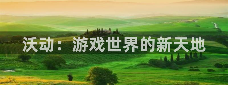 优贝娱乐平台官网客服电话：沃动：游戏世界的新天地