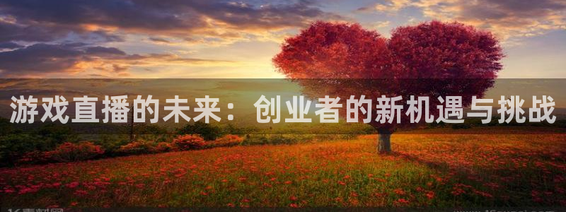 优贝娱乐注册开户：游戏直播的未来：创业者的新机遇与挑战