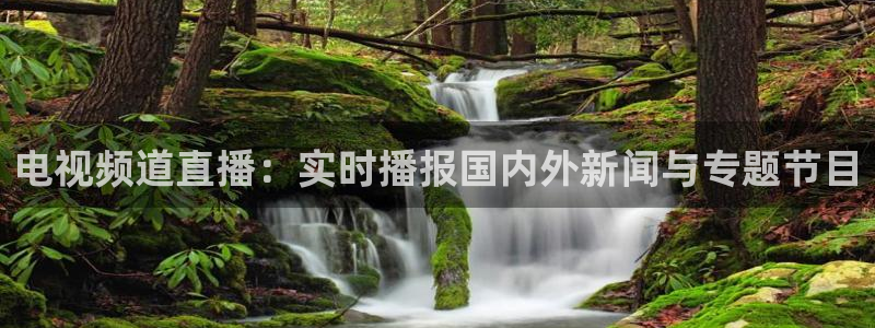 球神直播体育在线