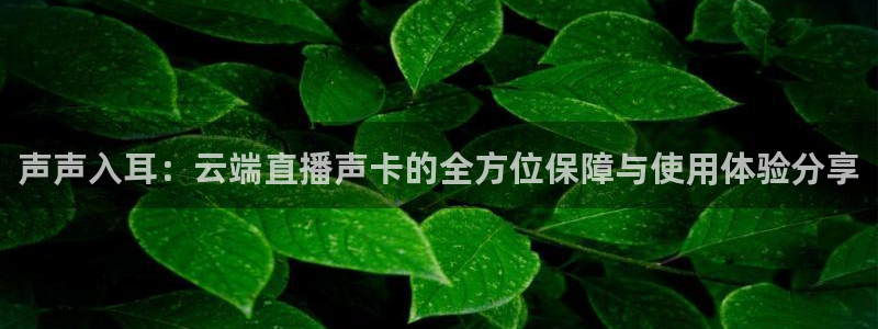 球神直播免费直播：声声入耳：云端直播声卡的全方位保障与使用体验分享