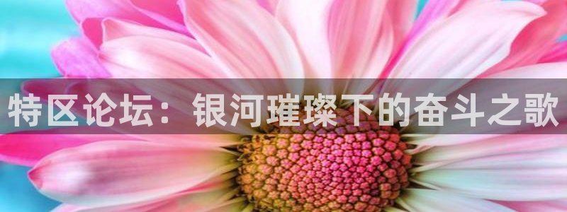 qszb球神直播：特区论坛：银河璀璨下的奋斗之歌