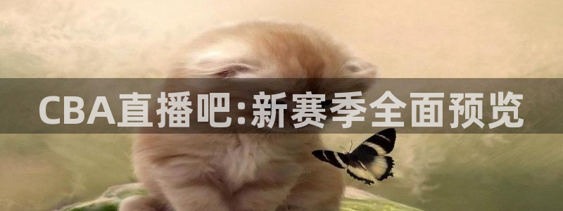 球神直播网：CBA直播吧:新赛季全面预览